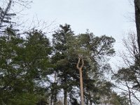 Sortie Phalsbourg CV Wingen 28 02 2016 (51)